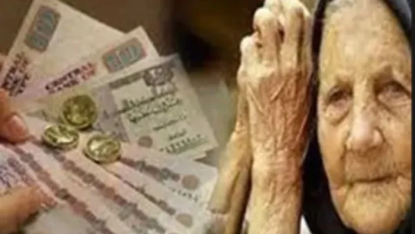 حماية حقوق كبار السن بموجب قانون 19 لسنة 2024