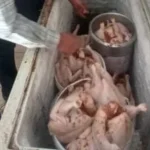 ضبط طن من اللحوم والدواجن في الغربية