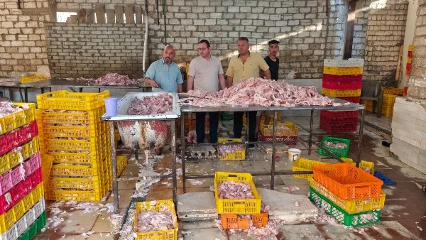 ضبط 60 طنًا من الأغذية غير الصالحة للاستهلاك في الجيزة
