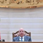 مجلس النواب يواصل مناقشة قانون جهاز مستقبل مصر