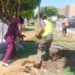الإسماعيلية تواصل جهودها في التجميل وزيادة المساحات الخضراء