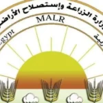 خطة وطنية لتسويق تقاوي البطاطس المنتجة محليًا