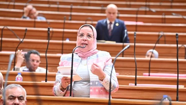 نائبة الشعب الجمهوري تؤكد أهمية الملحق التفسيري لجامعة الدول العربية