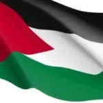 دور مصر في دعم الإغاثة لأهالي غزة