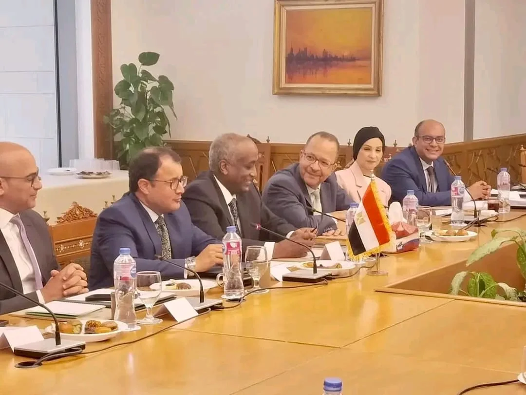 المشاورات السياسية بين مصر والكونغو برازافيل