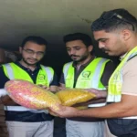 ضبط نصف طن سناكس مجهولة المصدر في الغربية