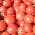 أسعار الخضراوات في الأسواق المصرية اليوم