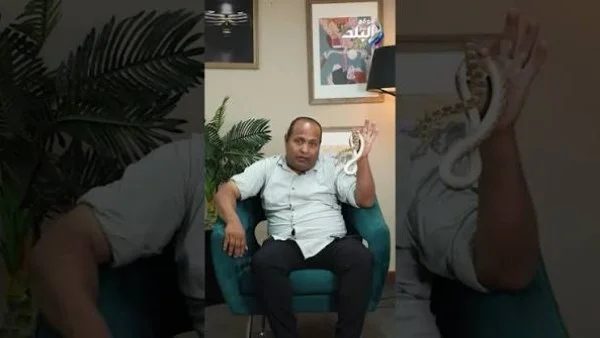 توعية الأطفال بمخاطر الثعابين ضرورية