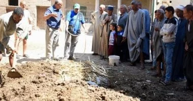 تدريب عملي لإنتاج السماد العضوي في كوم إشقاو