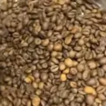 حقيقة غش البن في مصر: بيان شعبة البن