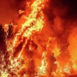 حرائق الغابات تحجب الشمس عن سماء نيويورك