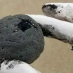 بقايا الفضاء: كيف تصل إلى الأرض بعد سقوطها؟