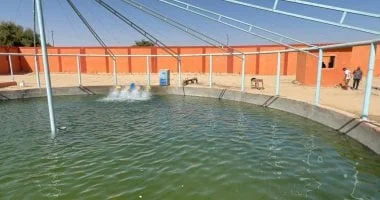 "تجارة الشهادات المزورة بفضل الذكاء الاصطناعي"