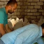 ضبط 6.290 طن دقيق مدعم وهياكل دواجن مجهولة في الشرقية