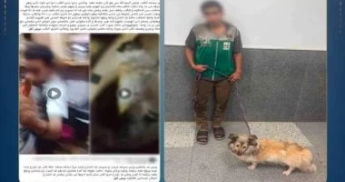 ضبط متهم بتعذيب كلب في القاهرة