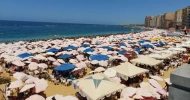 بركان إيريبوس في أنتاركتيكا يطلق الذهب يوميًا