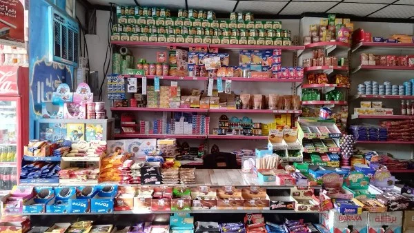 مشروع "مشروعك" في المنوفية: 75 نشاطاً وتمويل 32 مليون جنيه
