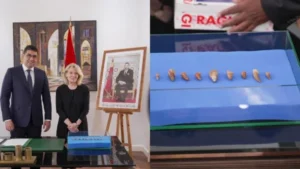 المغرب يستعيد مستحاثات ديناصورات وزواحف بحرية نادرة