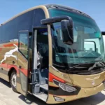 عروض فنية ومواهب في “شارع الفن” بأسوان