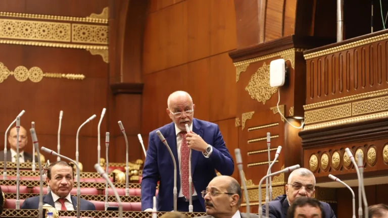 منصات التواصل الاجتماعي: ضرورة تنظيم استخدامها