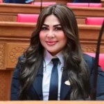 مواجهة شائعات السوشيال ميديا تحتاج لتشريعات قوية