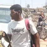 جهود فريق البحث في القراقرة لمكافحة الثعابين