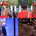 السيسي يؤكد على فرص التعاون مع تنزانيا