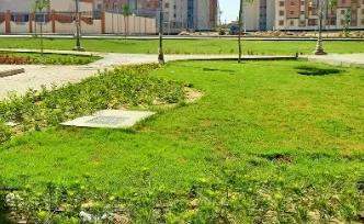 كيفية حماية منزلك وسيارتك من الحرائق في الصيف