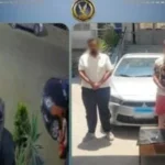 خلافات أسرية تؤدي إلى تخريب سيارة صيدلانية بالفيوم