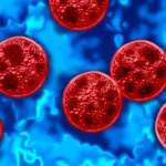 FDA تسعى لتحديد مصدر وباء Cyclospora المرتبط بخس تايلور فارمز