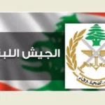 انتشار الجيش اللبناني في زوطر الغربية