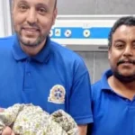 مسعف ينقذ مولودة على طريق سانت كاترين
