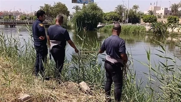 جريمة قتل عائلية مروعة في سوهاج