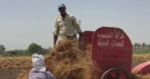 إخلاء سبيل رامي فلفلة بدمياط بعد انتهاء الإجراءات القانونية