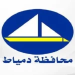 قيادات شبابية في دمياط تساهم في تجهيز وجبات للأسر المحتاجة