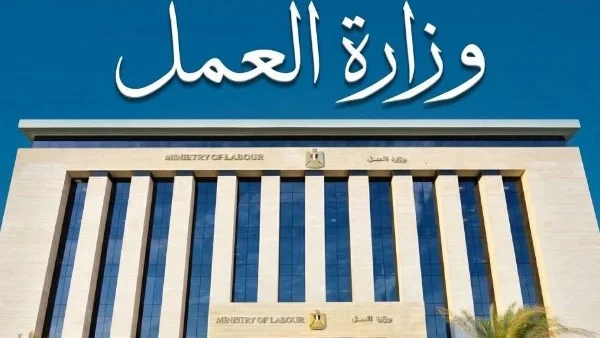دليل وظائف وزارة العمل 2026