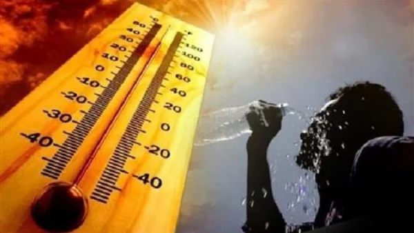 إلغاء رخصة القيادة وفق قانون المرور