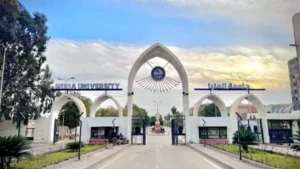 طريقة عمل مكرونة بشاميل جوسي شهية