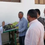 جولة تفقدية لرئيس مركز بلاط بالوادي الجديد
