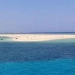 جزيرة توبيا البيضاء: وجهة ساحرة في البحر الأحمر