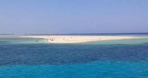 جزيرة توبيا البيضاء: وجهة ساحرة في البحر الأحمر
