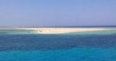 جزيرة توبيا البيضاء: وجهة ساحرة في البحر الأحمر