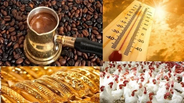 تراجع درجات الحرارة وخطط تطوير منظومة الدعم
