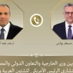 وزير الخارجية المصري يبحث التطورات في ليبيا مع مستشار أمريكي