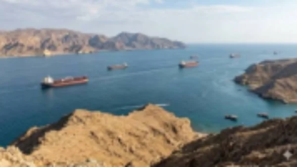 49 هجوماً على السفن و14 قتيلاً بحرياً في الخليج