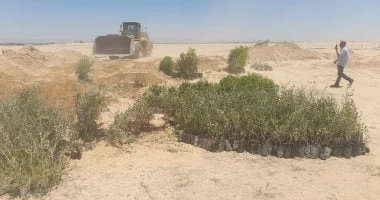 إزالة تعديات على 1120 فدانًا من أراضي الدولة في قنا