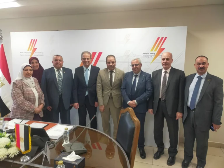 استثمارات كهرباء مصر الوسطى تبلغ 2.9 مليار جنيه