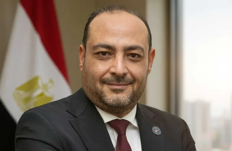 نجاح الدولة المصرية بعد 3 يوليو