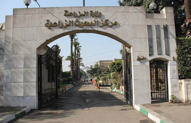 أنشطة مركز البحوث الزراعية لتعزيز الإنتاج الزراعي