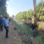 البحث عن تمساح شبرامنت بالجيزة يتواصل دون نتائج